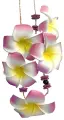 frsh_scents_flower_necklace_sunshine_vanilla_zapach_samochodowy_zawieszka_wiszace.webp